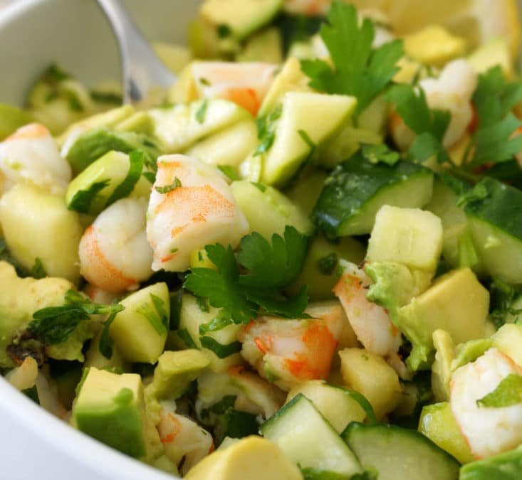 Shimp Ceviche Salad - Integrative Family Medicine of Asheville